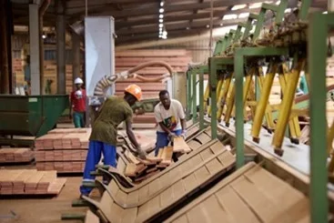 Le Salon international des métiers du bois de Brazzaville vise aussi à briser les stéréotypes dévalorisants souvent associés aux professions du bois.